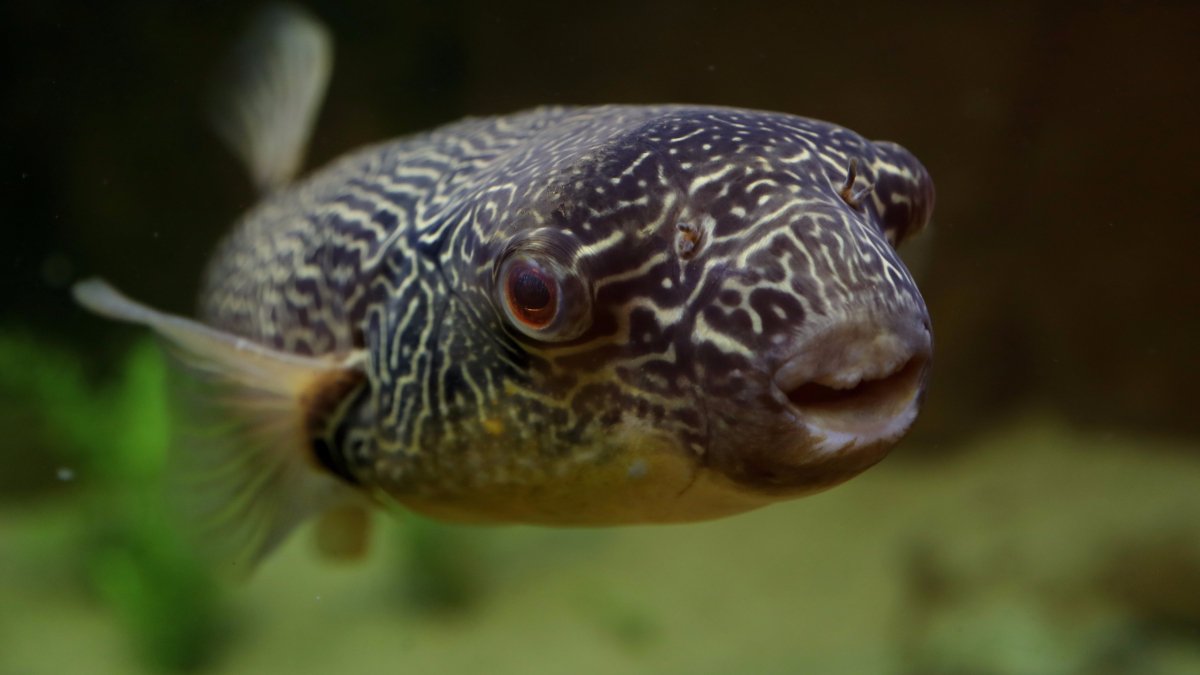 hero-image.fill_.size_1200x675.v1623366362